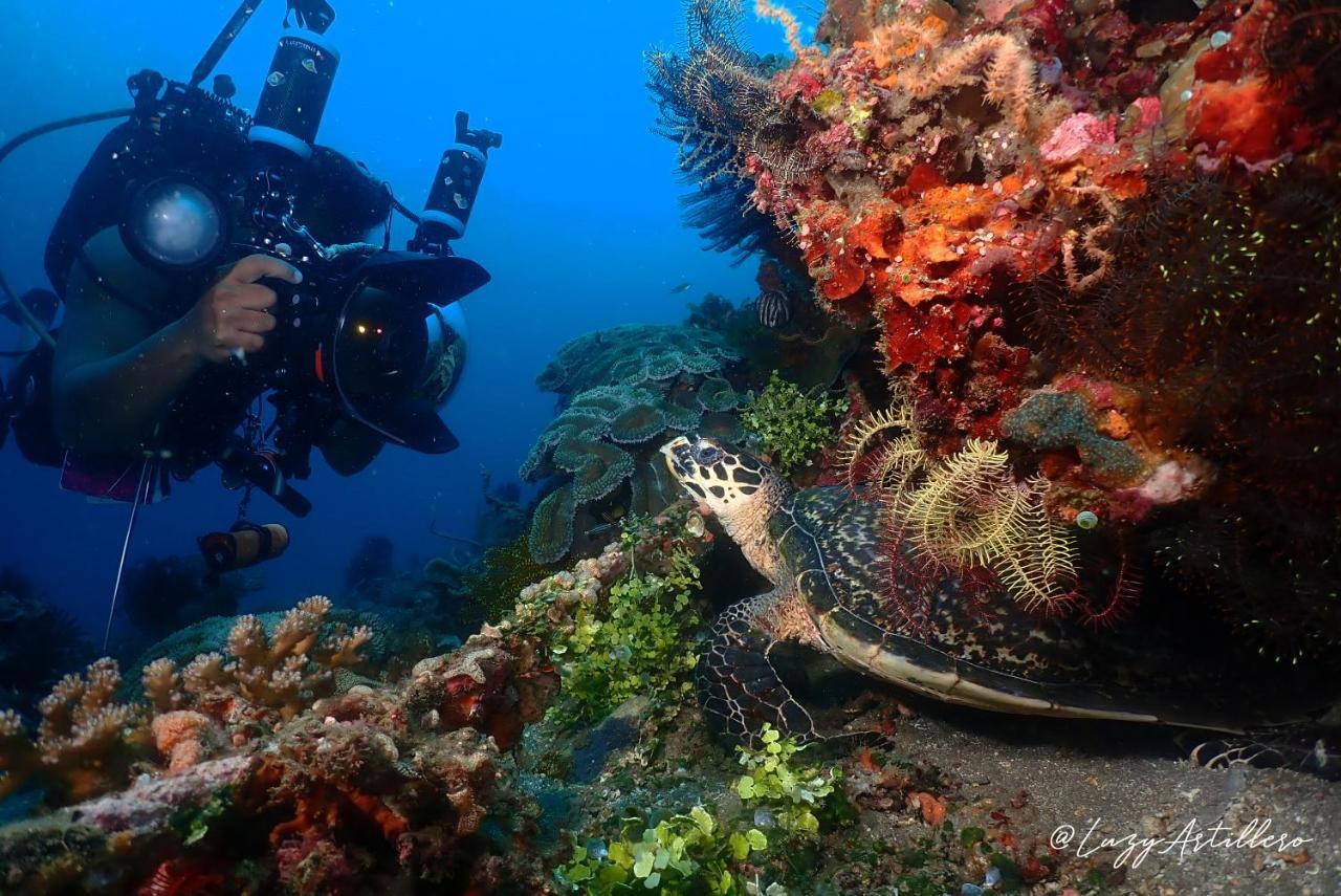 La Tortue Diving Resort Dauin Exterior photo