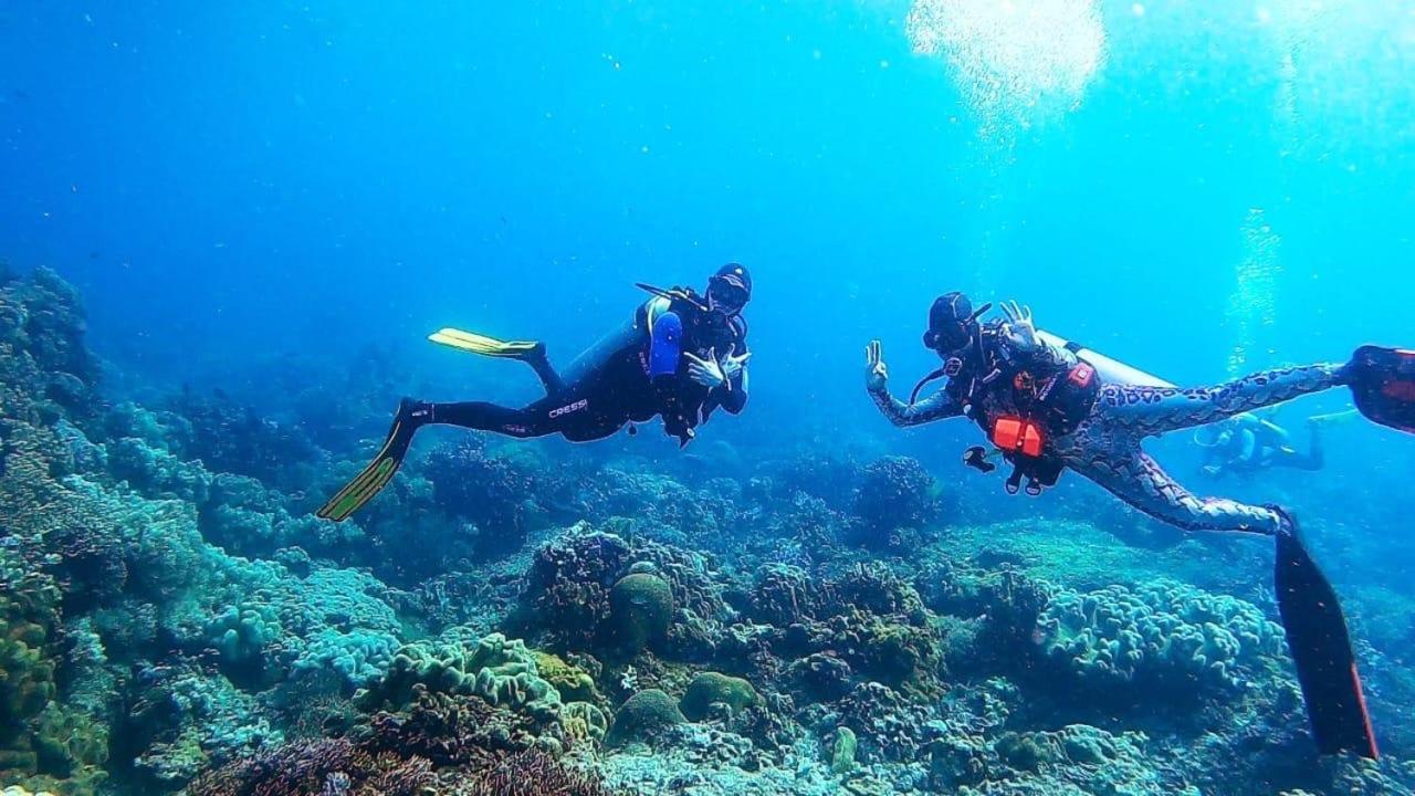 La Tortue Diving Resort Dauin Exterior photo