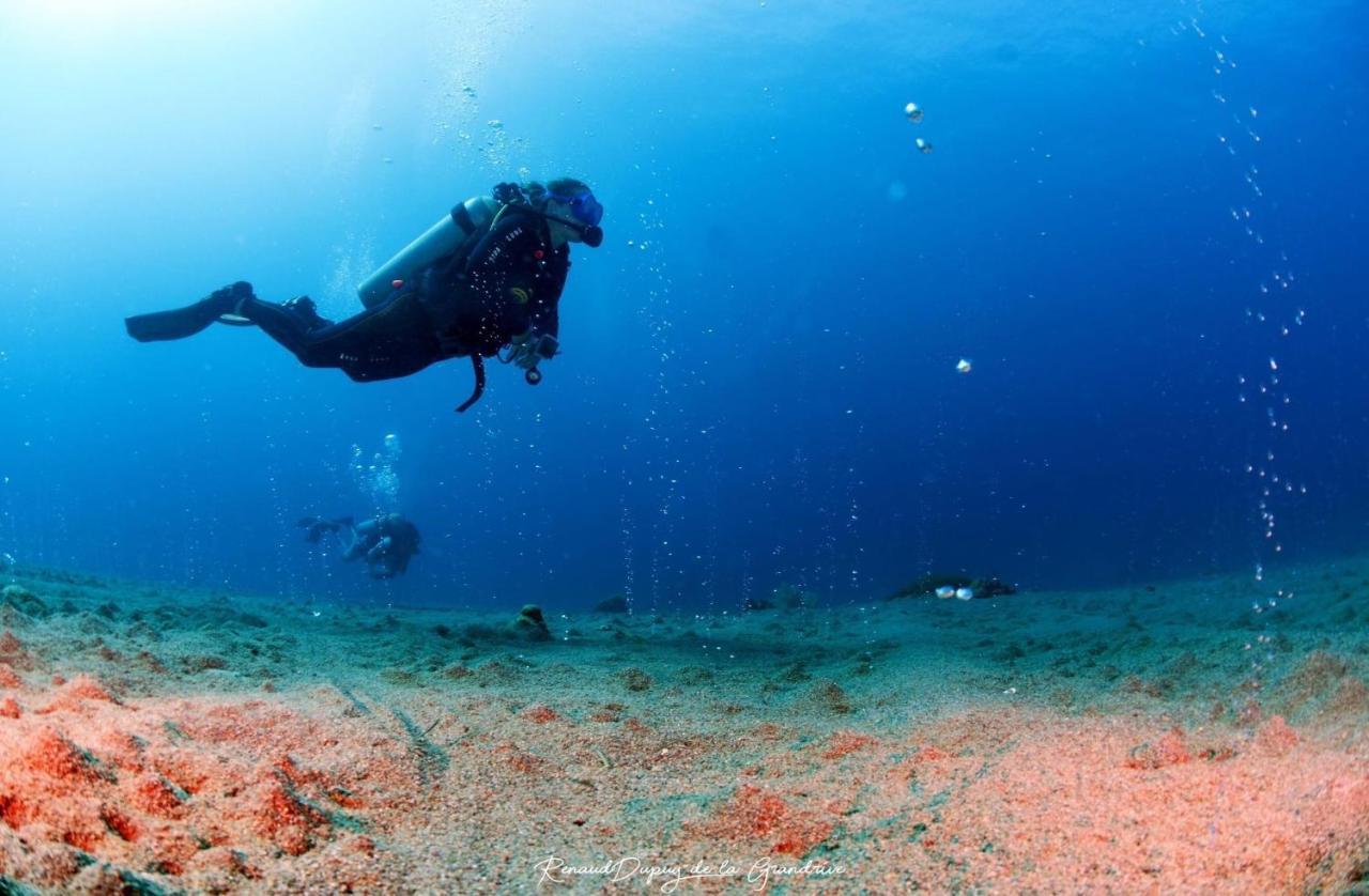 La Tortue Diving Resort Dauin Exterior photo